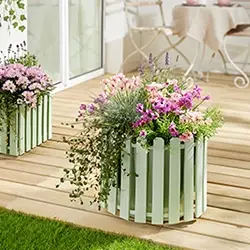 Dekorative Gartenpflanzen in stilvollen Pflanzkübeln für Terrasse und Balkon