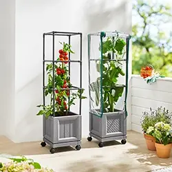 Zwei vertikale Pflanzgefäße mit Tomaten und Kräutern auf einem sonnigen Balkon, eines davon mit Schutzabdeckung, umgeben von Topfpflanzen.