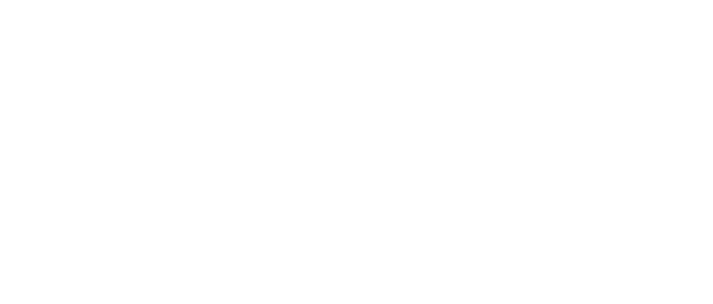 Logo solini