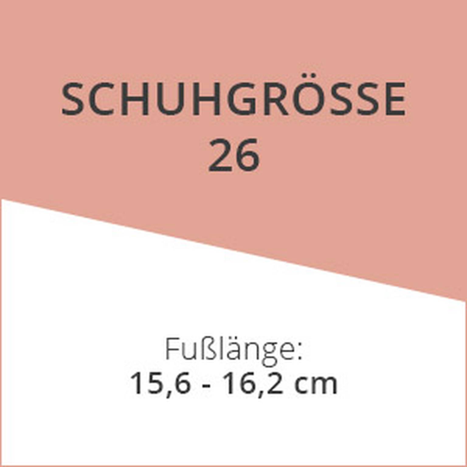 Schuhgrösse 26