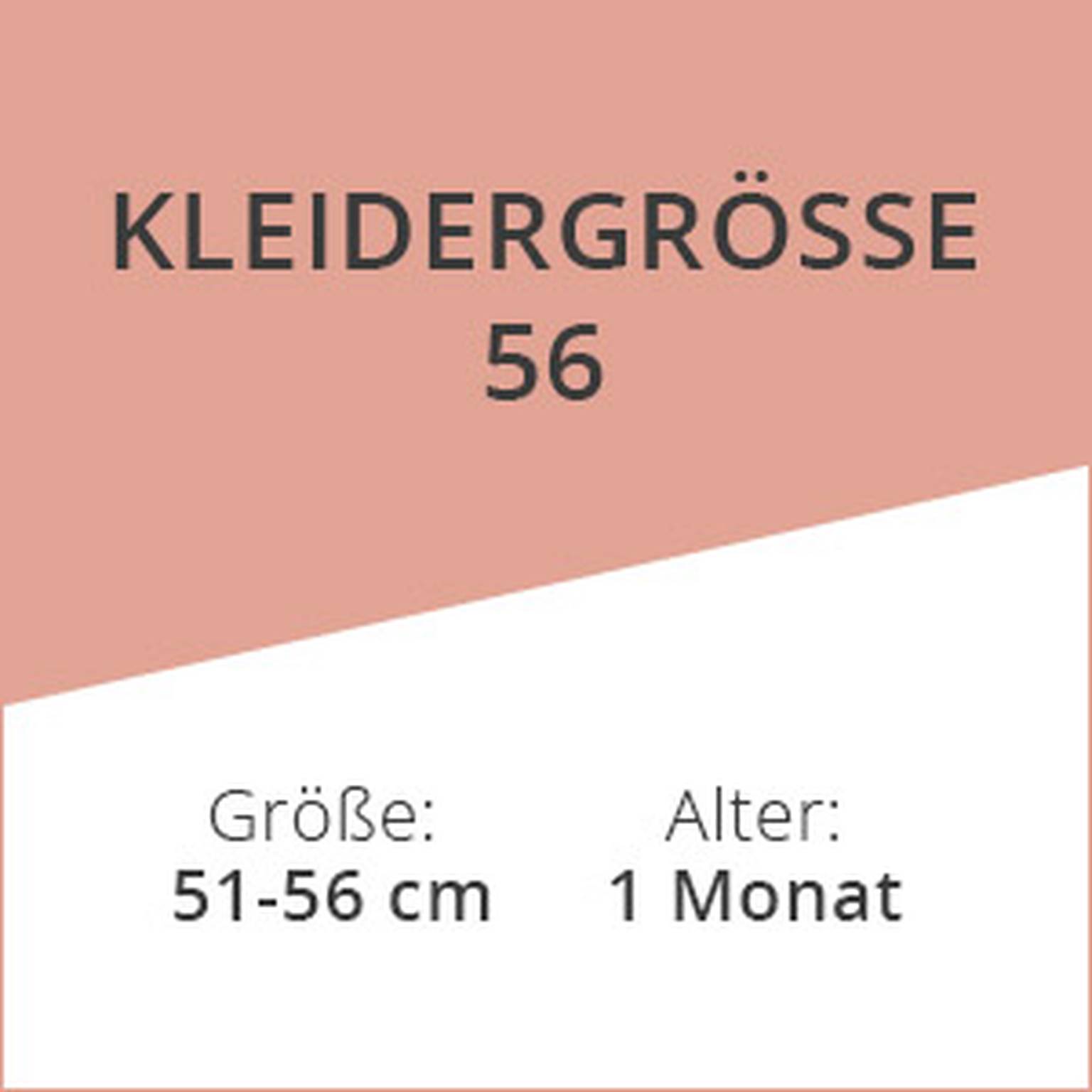 Kleidergrösse 56