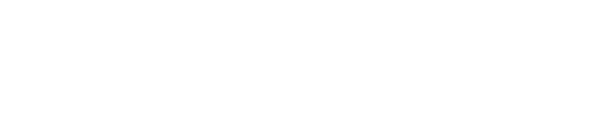 Logo name it
