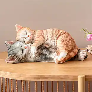 Eine grau und eine orangene Tonkatze die miteinander kuscheln