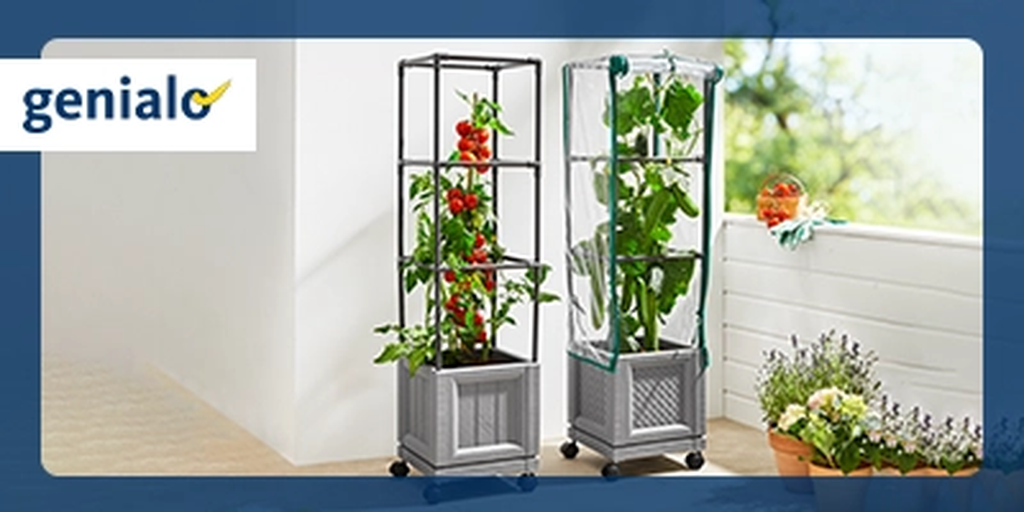 Zwei vertikale Gartenpflanzgefäße mit Tomaten und Blattgemüse auf einem sonnenbeschienenen Balkon, umgeben von Topfpflanzen.