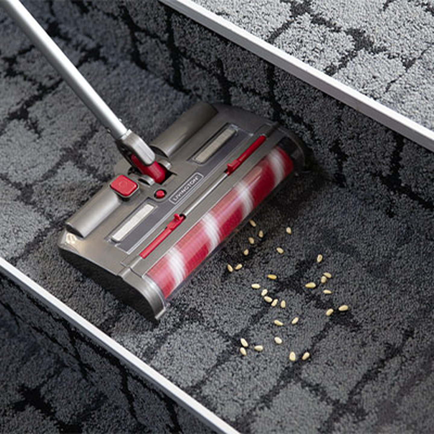 Ein Staubsauger kehrt Samen auf einer grauen, gemusterten Teppichtreppe.
