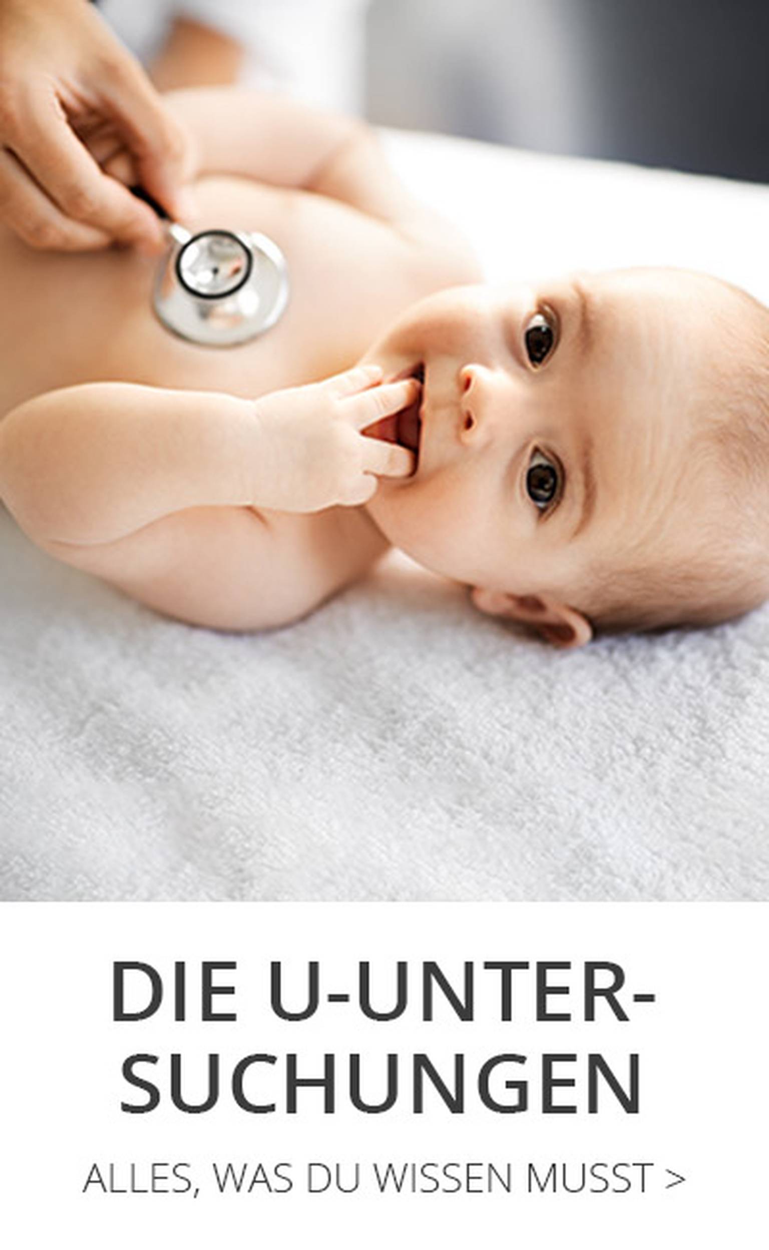 Die U-Untersuchungen