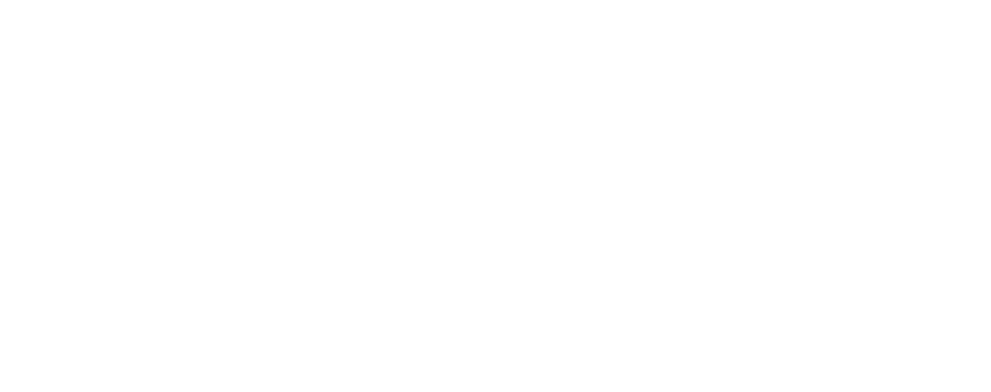 Logo solini