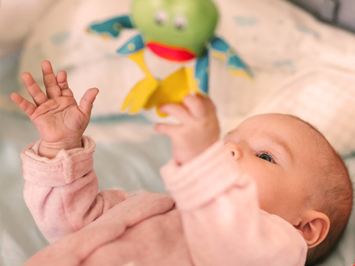 Ein Baby in einem rosa Outfit liegt auf dem Rücken und streckt die Arme nach oben, um ein buntes Plüschtier über sich zu erreichen; seine Augen sind aufmerksam gerichtet.