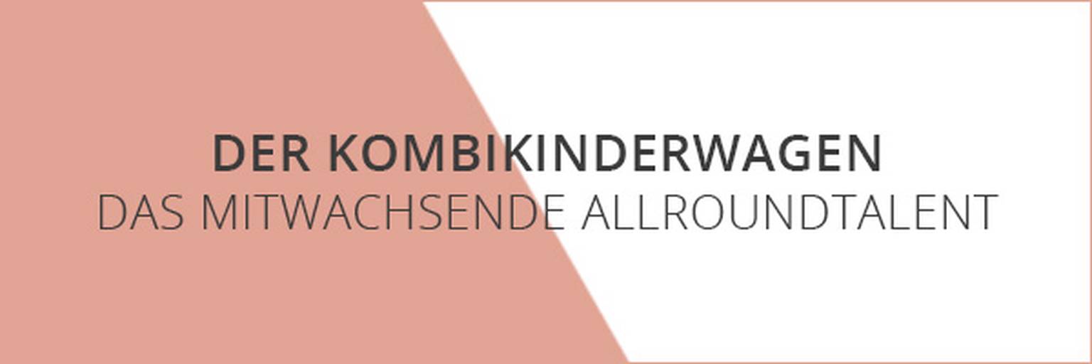 Der Kombikinderwagen