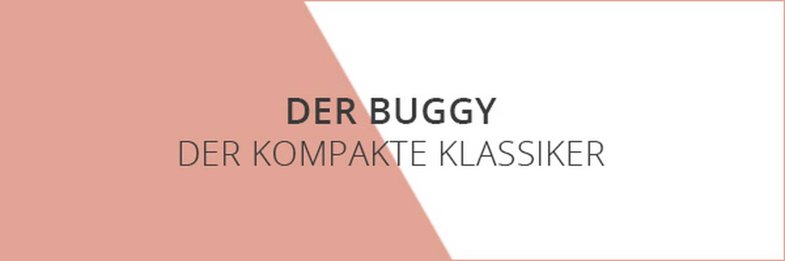 Der Buggy