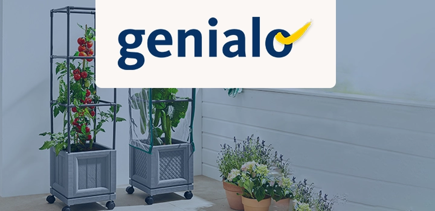 Zwei mobile Pflanzkübel mit Tomatenpflanzen und Blattgemüse auf einer Terrasse, daneben Topfblumen, unter dem Logo „genialo“.