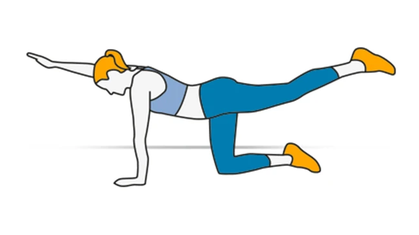Gleichgewichtstraining_Vierfüßler_Waage