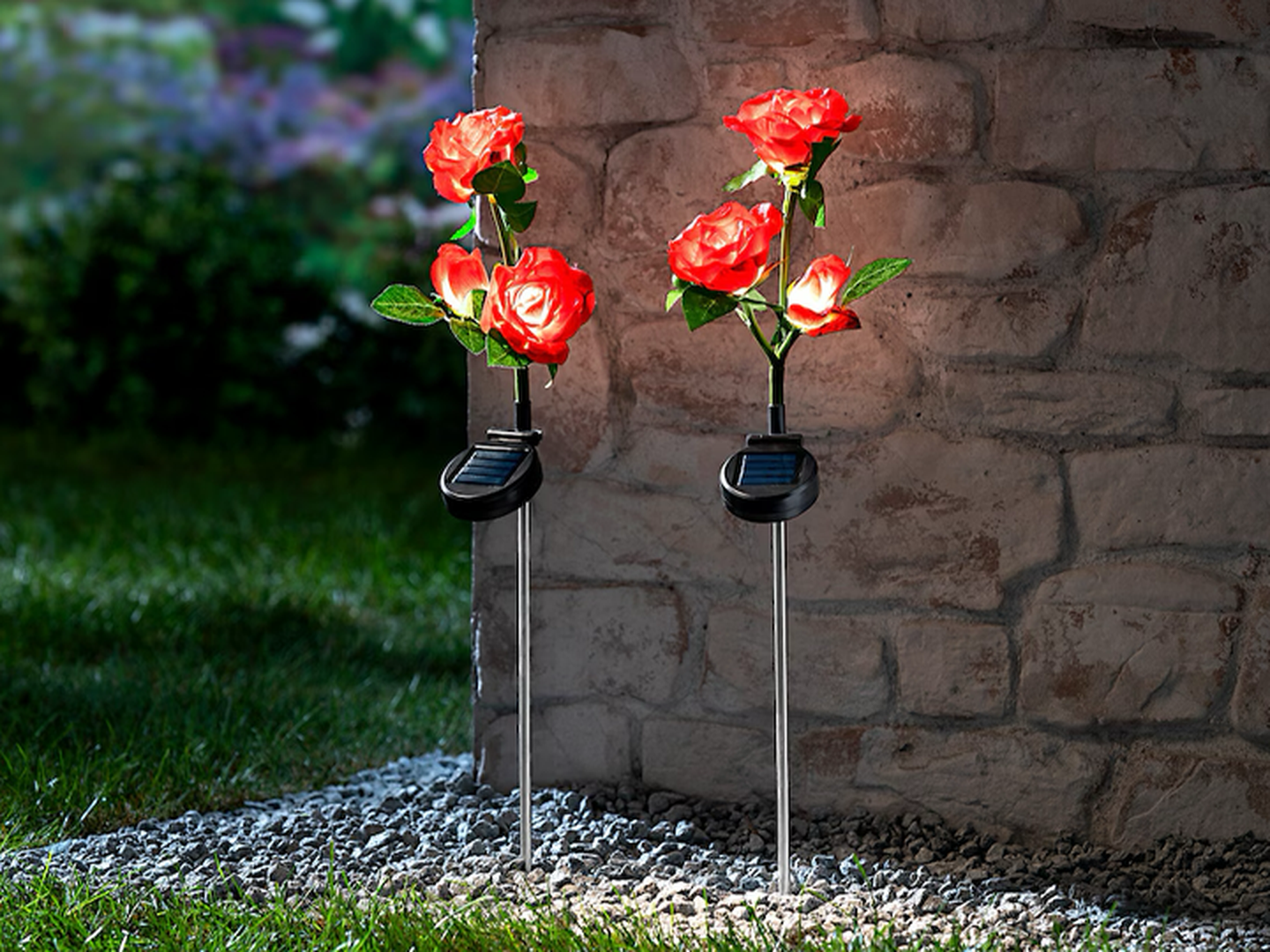 Zwei solarbetriebene Gartenleuchten in Form roter Rosen stehen in einem mit Kieselsteinen bedeckten Bereich nahe einer Steinmauer, umgeben von Gras.