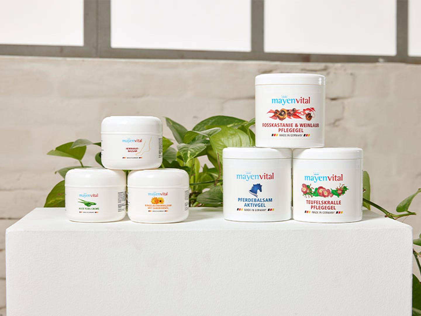 Fünf Tiegel mit Mayenvital-Hautpflegeprodukten auf einem weißen Sockel, umgeben von grünen Pflanzen.