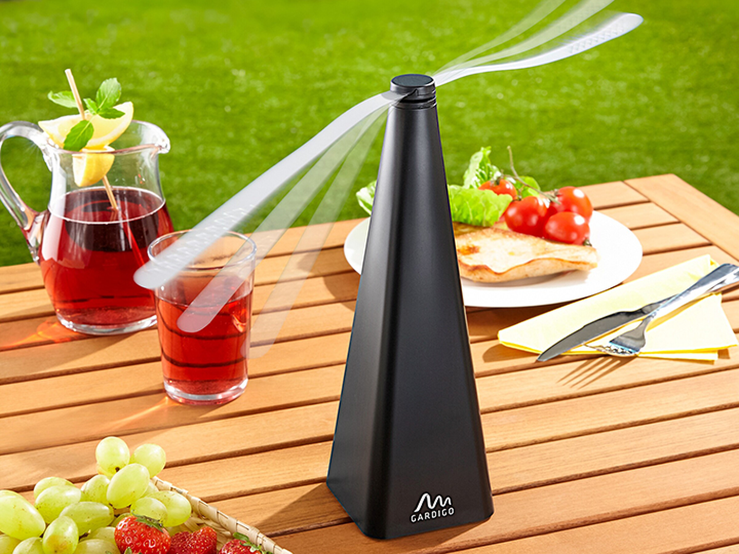 Ein Ventilator zur Abwehr von Fliegen steht an einem sonnigen Tag auf einem Tisch im Freien; im Hintergrund sind Getränke, Weintrauben und ein Salat zu sehen.