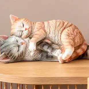 Zwei schmusende Tonkatzen in orange und grau