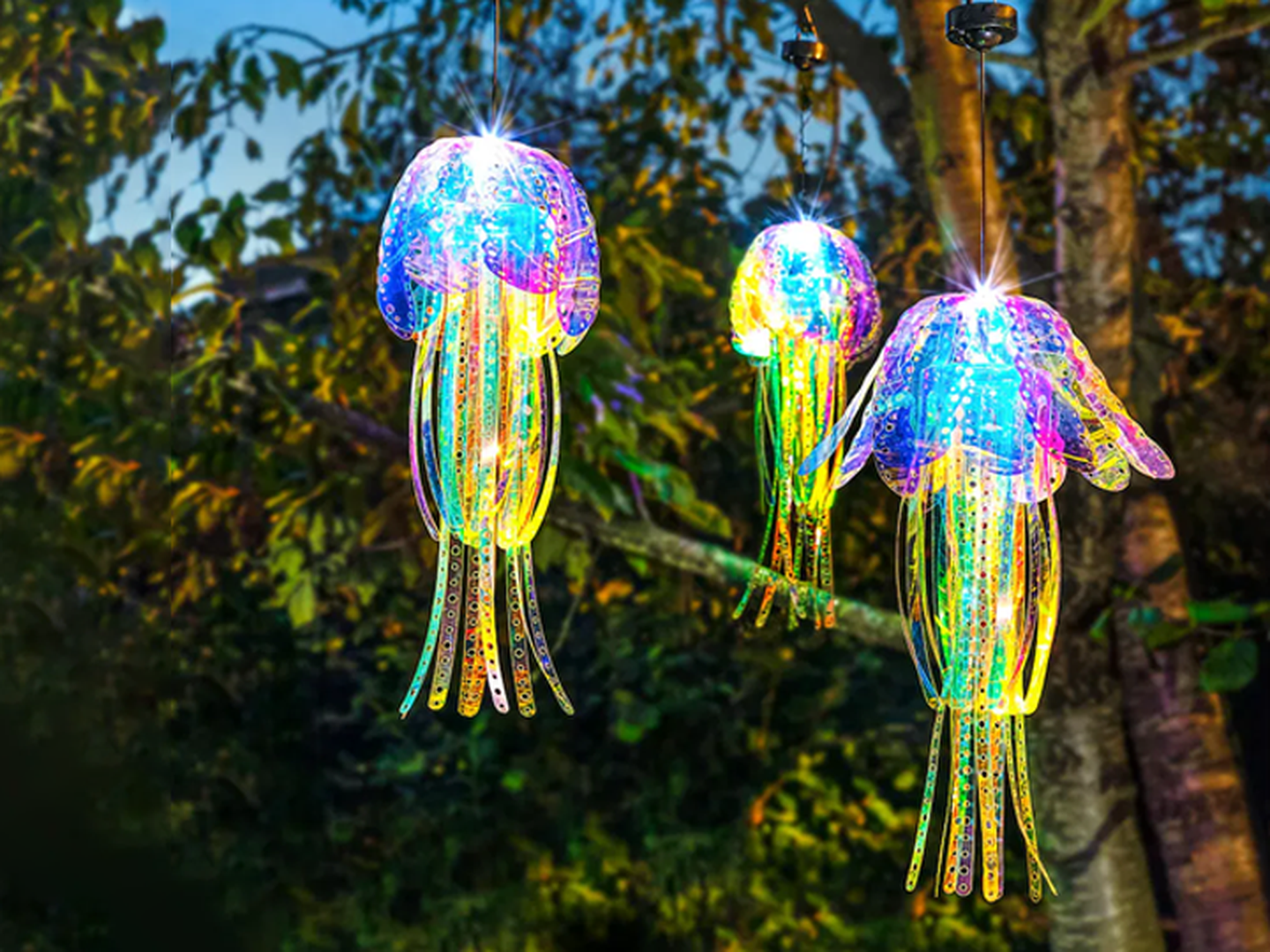 Bunte, quallenförmige Lichter hängen draußen und leuchten abends vor dem Hintergrund der Bäume.