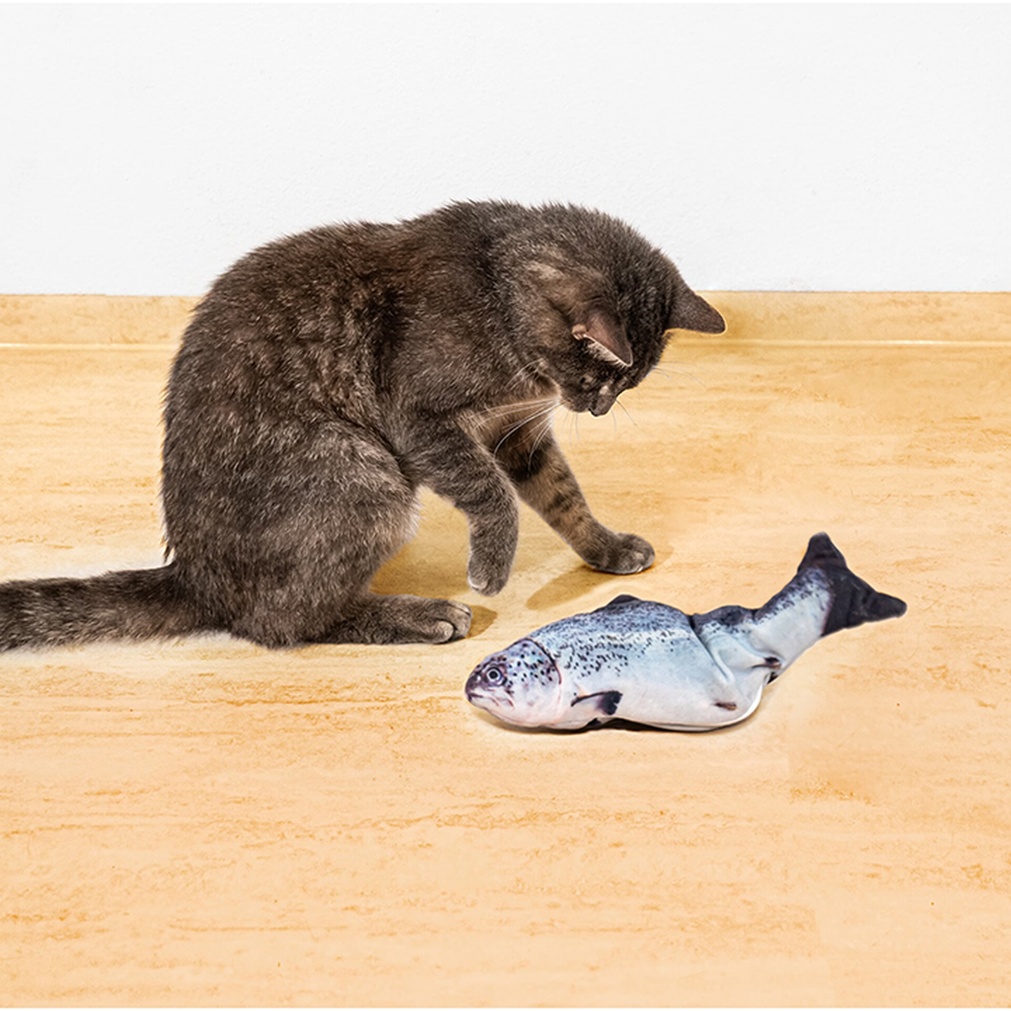 Eine graue Katze betrachtet neugierig ein realistisches Fischspielzeug auf einem beigen Fliesenboden.