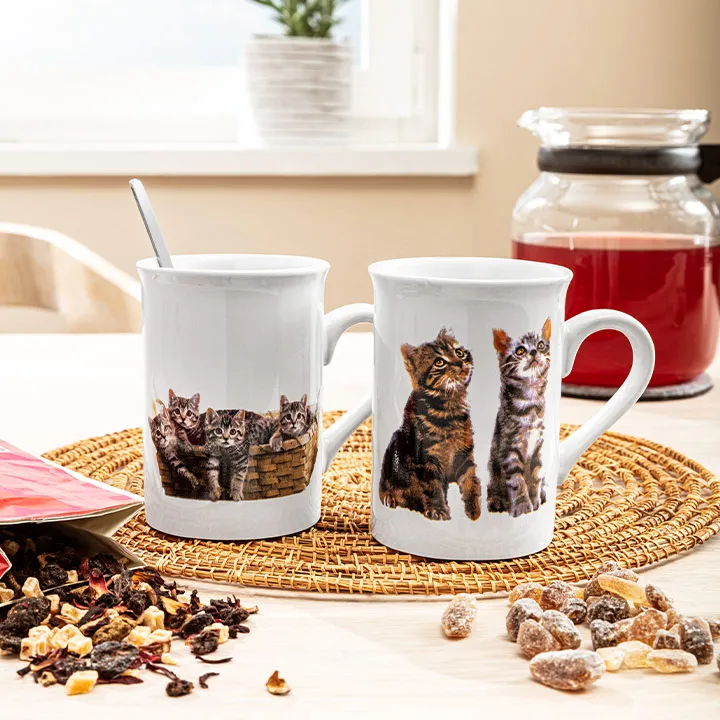 Zwei weiße Tassen mit Katzenbildern, auf einer gewebten Matte platziert, umgeben von getrockneten Früchten und einem Glas mit roter Flüssigkeit auf einem Holztisch.