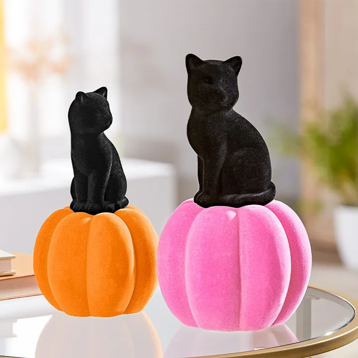 Zwei schwarze Katzenfiguren sitzen auf Samtkürbissen, einer orange und einer rosa, die im Innenbereich auf einer reflektierenden Oberfläche platziert sind.