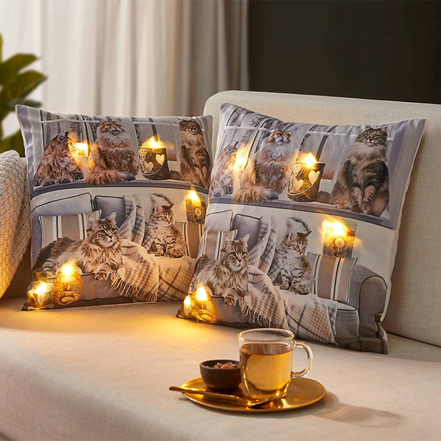Zwei dekorative Kissen mit Katzenmotiven und eingelassenen Lichtern auf einem beigen Sofa. Davor stehen eine Glastasse mit Tee und eine Untertasse mit Pralinen.