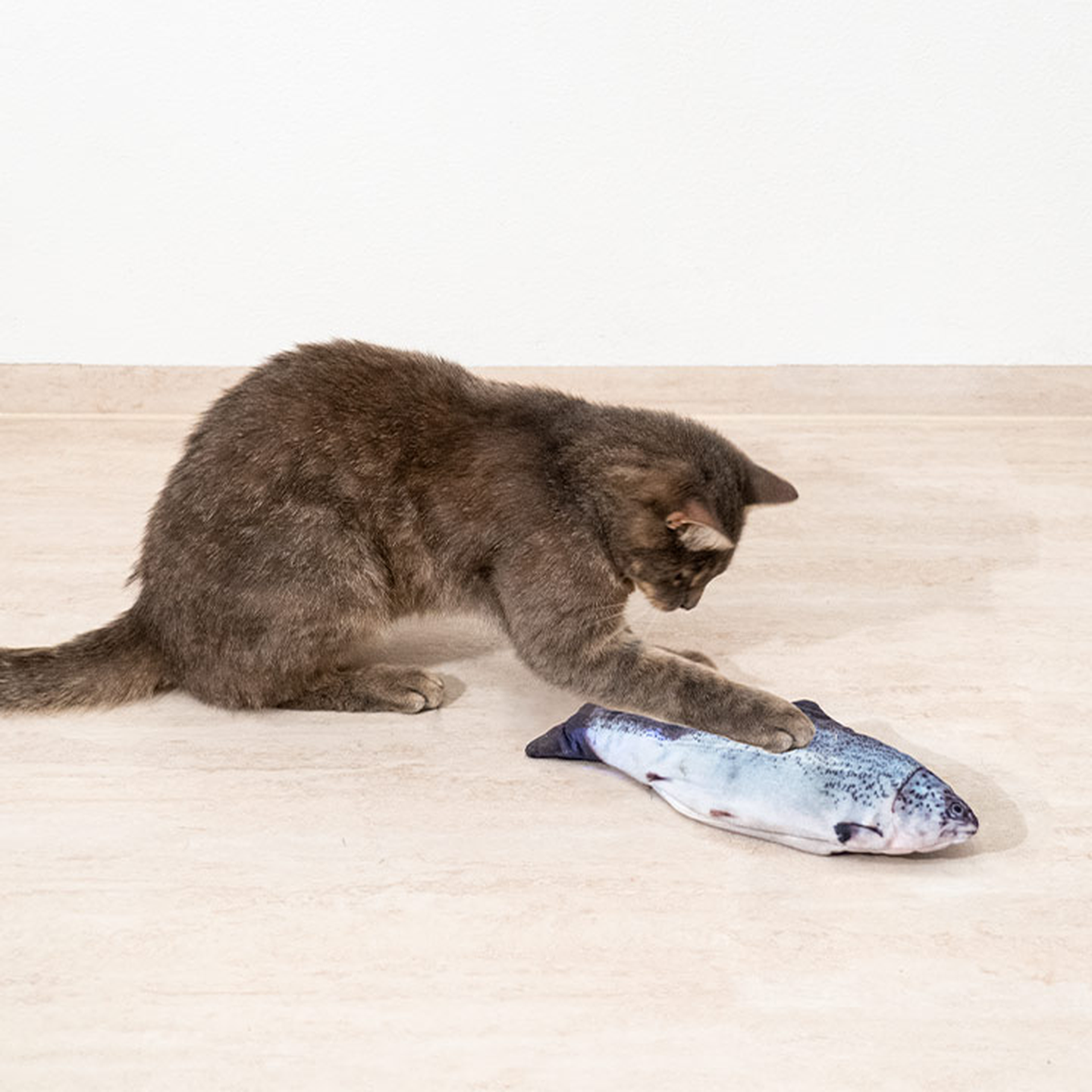 Eine braune Katze spielt mit einem realistischen fischförmigen Spielzeug auf einem hellen Boden.