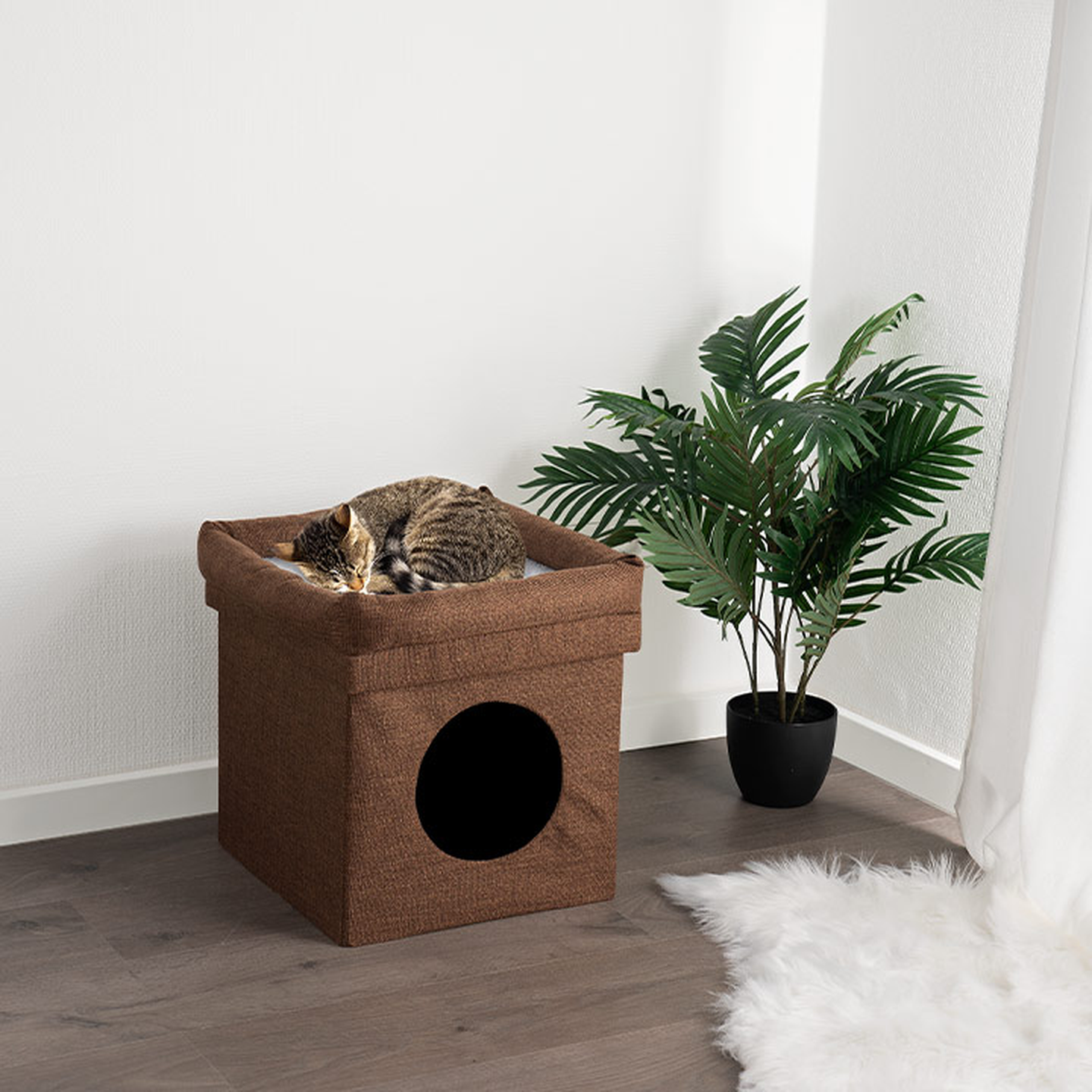 Getigerte Katze schläft in einem braunen, würfelförmigen Katzenhaus neben einer Topfpflanze auf einem Holzboden mit einem weißen Teppich.