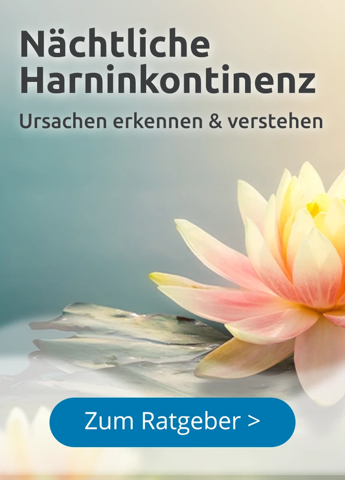 mh_Kachelbanner-bettnaessen-was-hilft