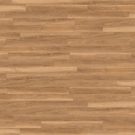 Honey Oak: Beautifully designed LVT flooring from the Amtico Spacia ...