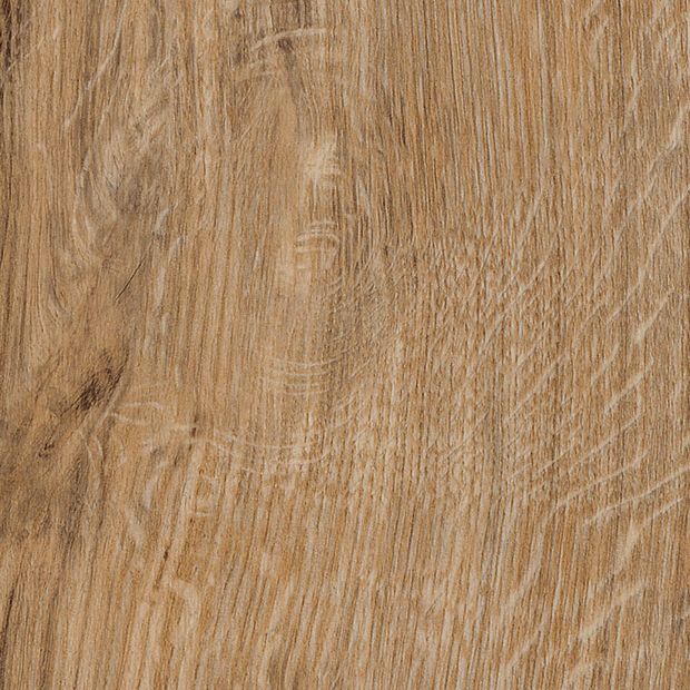 Featured Oak, SS5W2533}