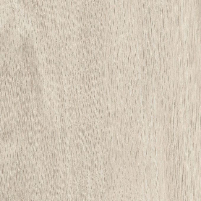 White Oak, SS5W2548