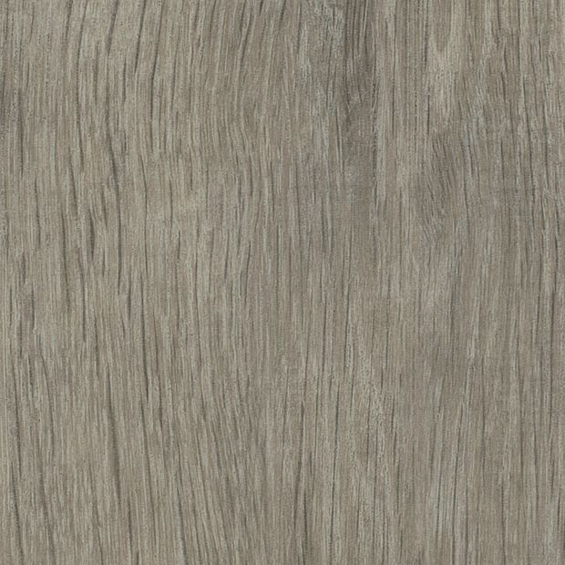 Sash Oak, AM5W3032}