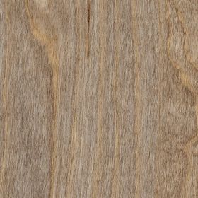Bleached Elm, SS5W2516}