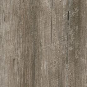 Coastal Pine, AM5W3029}