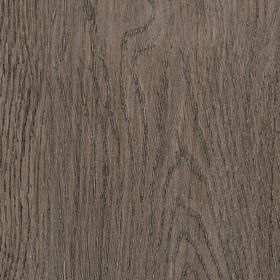 Dutch Oak, SF3W2778}