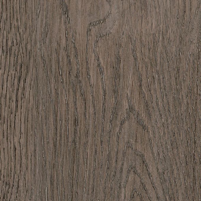 Dutch Oak, SF3W2778