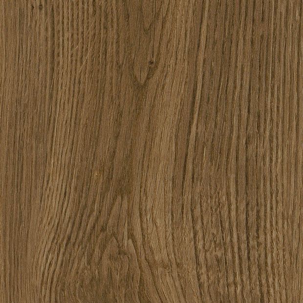 Brindle Oak, SX5W2657}