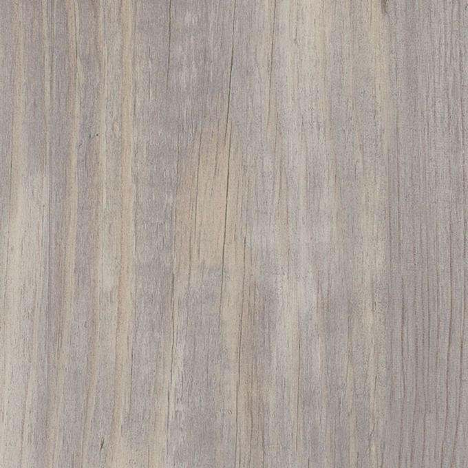 Halo Pine, AG0W8250
