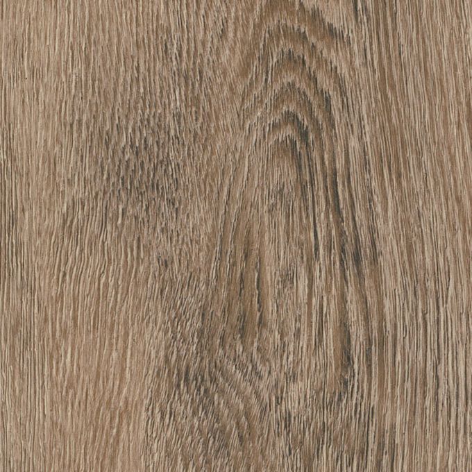 Toulouse Oak, AG0W8430