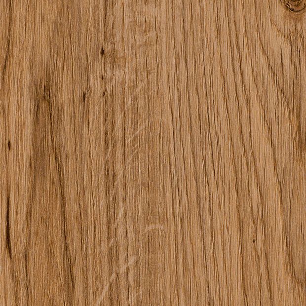 English Oak, SF3W2498}