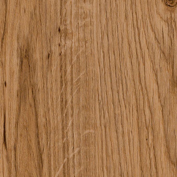 English Oak, SF3W2498