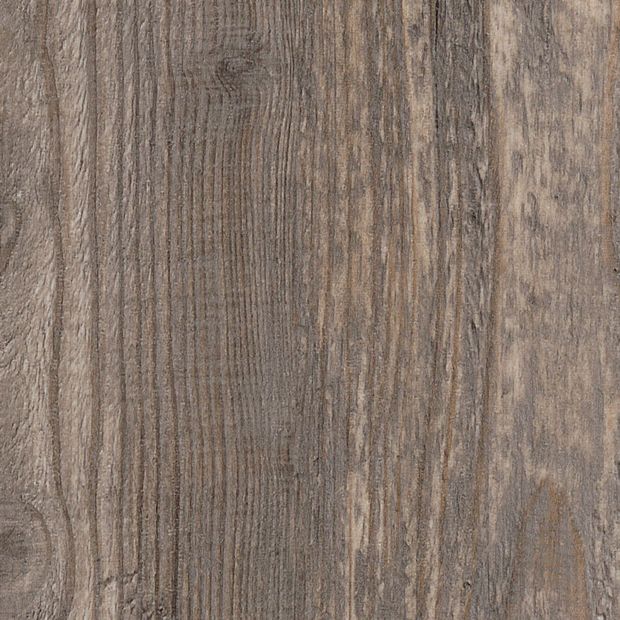 Harbour Pine, AG0W7990}