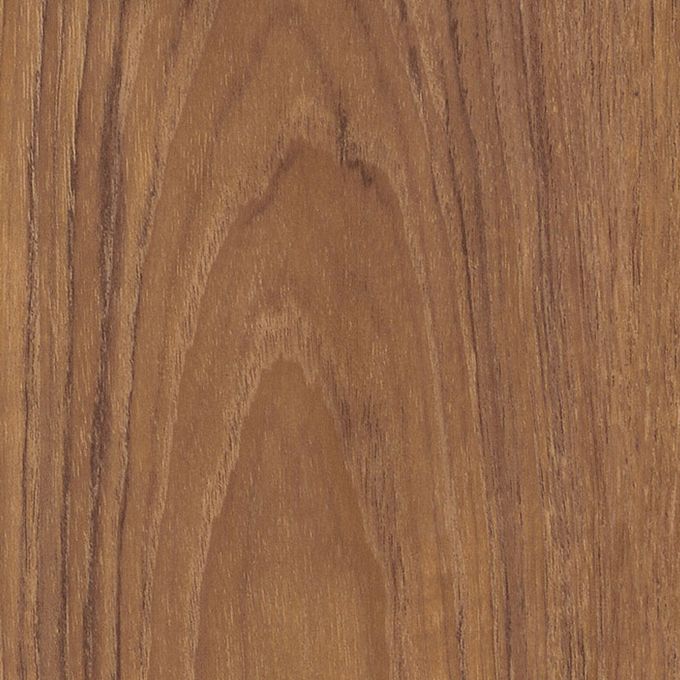Dry Teak, AR0W7810