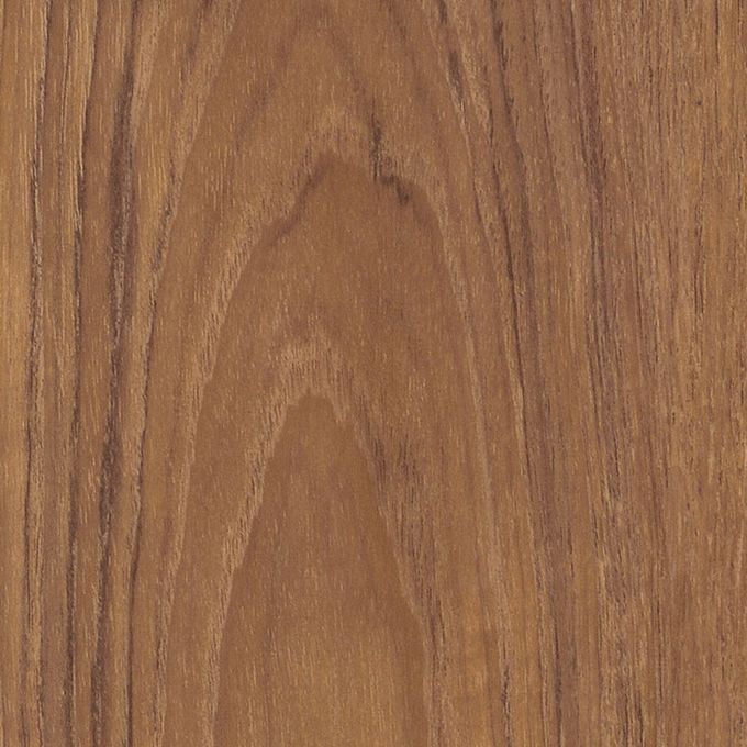 Dry Teak, AG0W7810