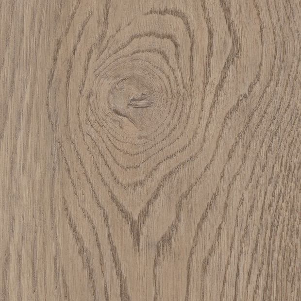 Harvest Oak, SF3W2774}