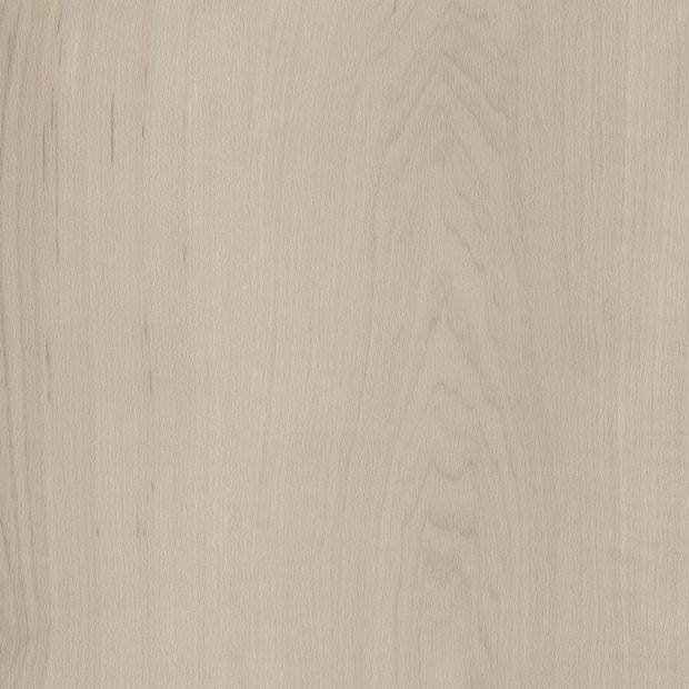 White Maple, SS5W2654}