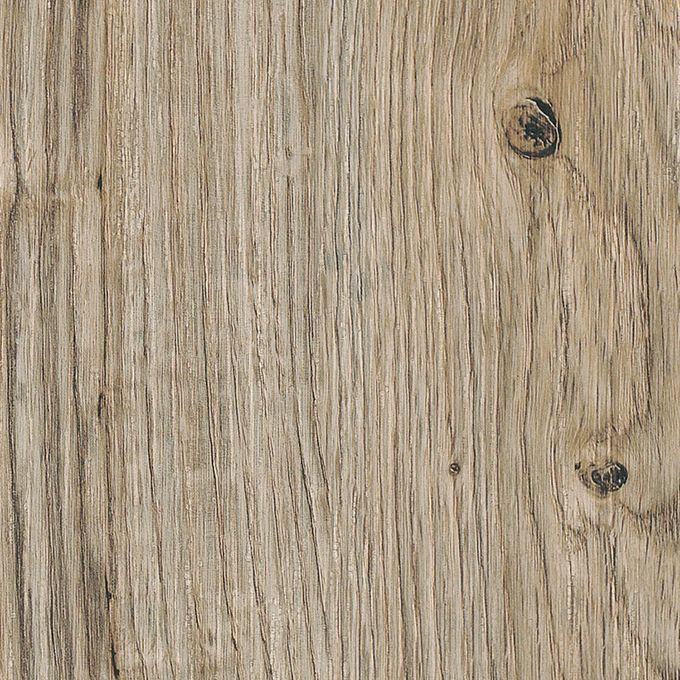 Sun Bleached Oak, SS5W2531