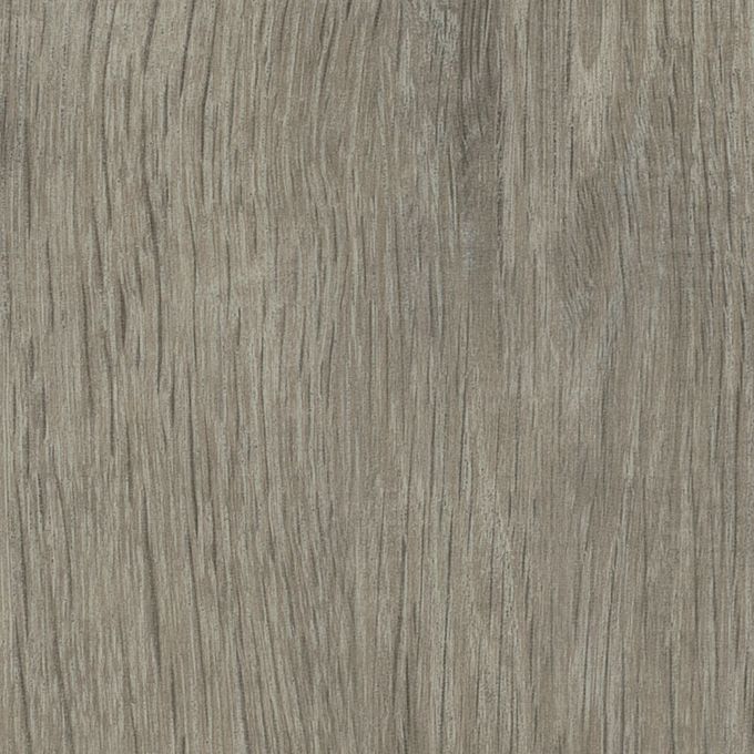 Sash Oak, SS5W3032