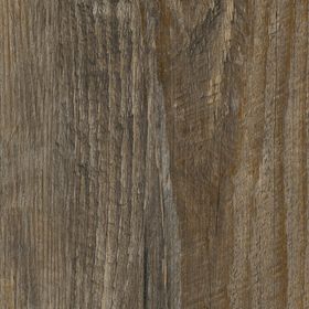 Estuary Pine, AM5W3028}