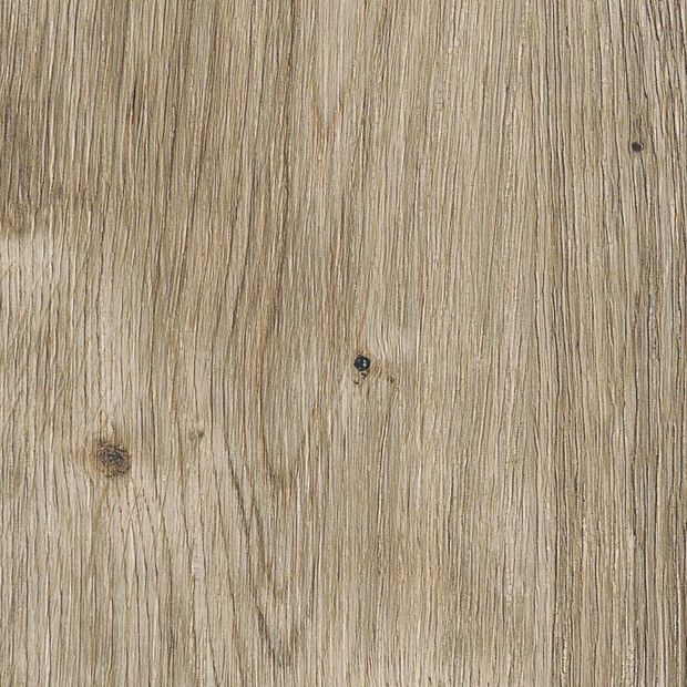 Sun Bleached Oak, SG5W2531}